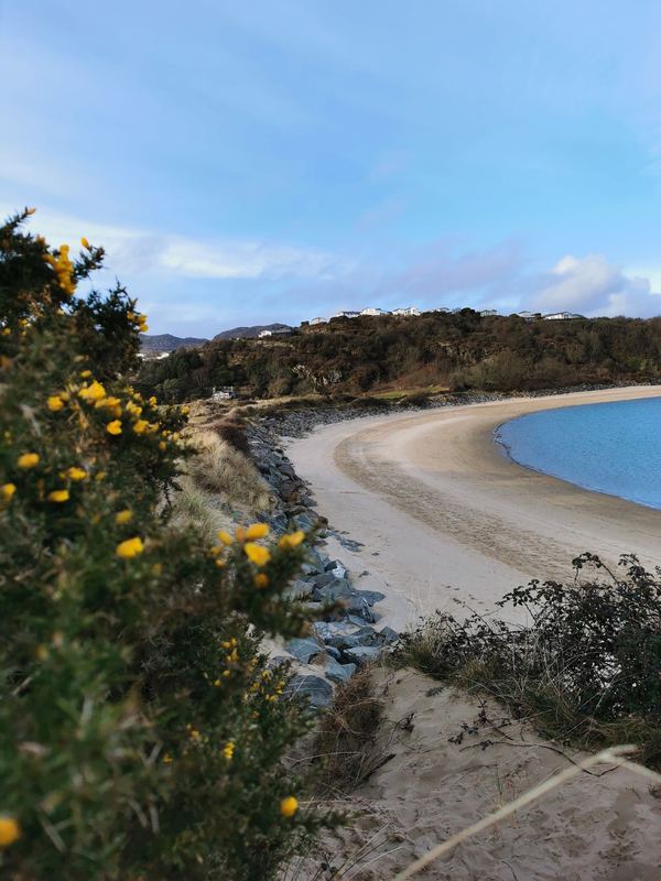 Morfa Bychan