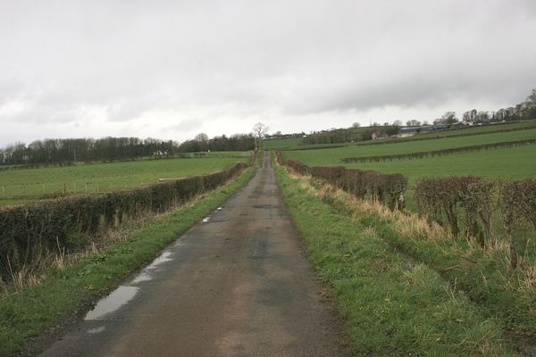 Mouswald