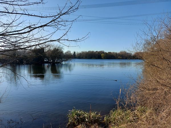 Nazeing