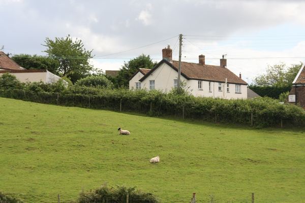 Nether Stowey