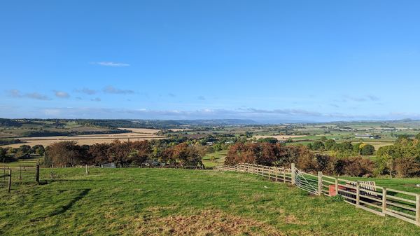 Netherby