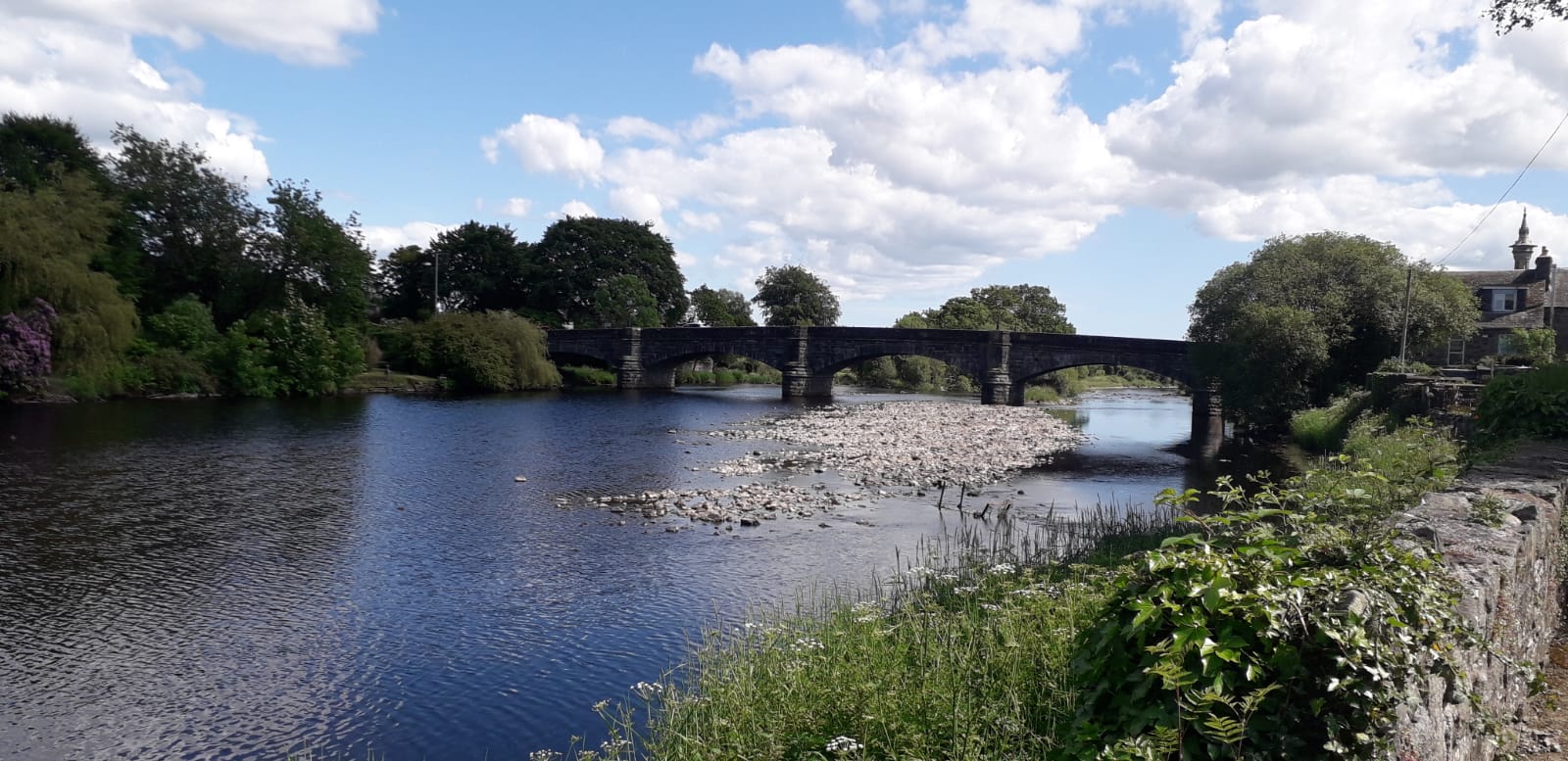 Newton Stewart