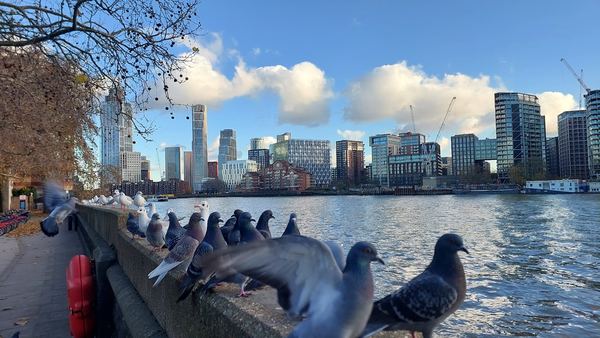 Nine Elms