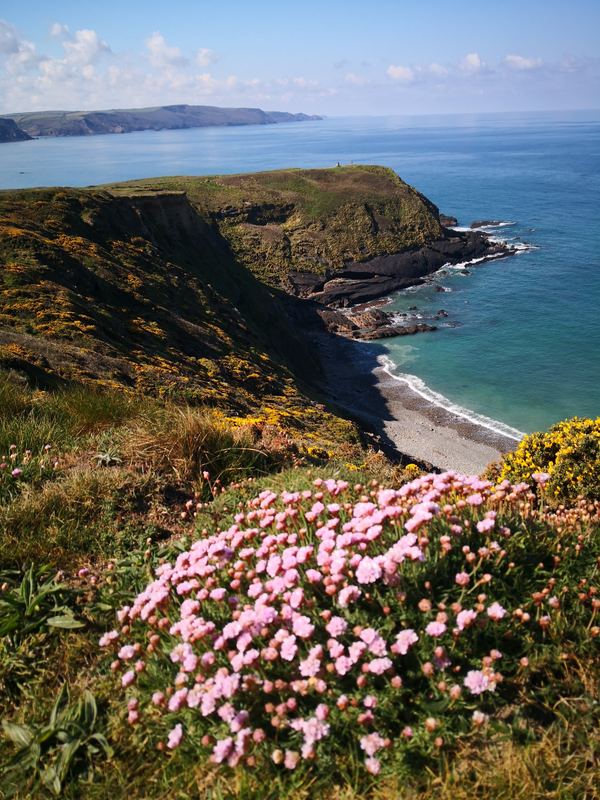 North Devon