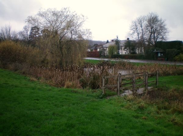 North Holmwood