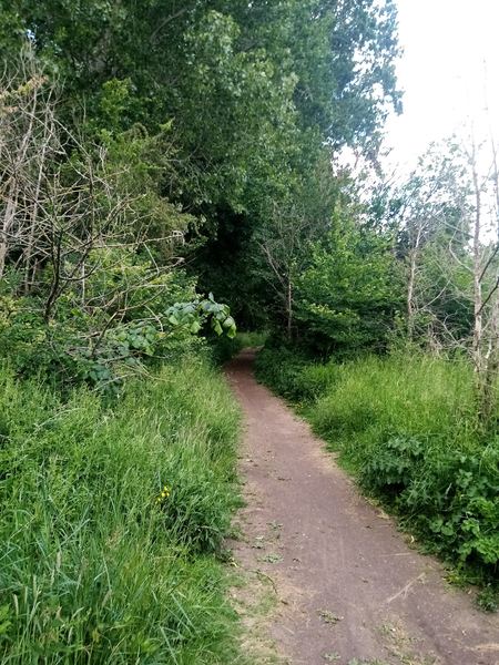North Stoke