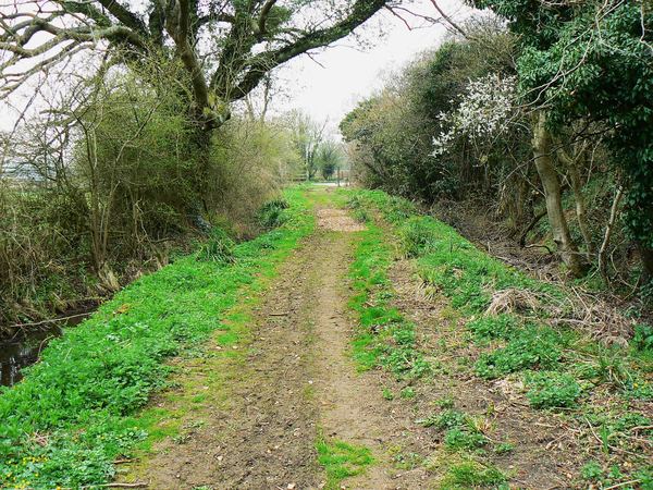 OAKSEY