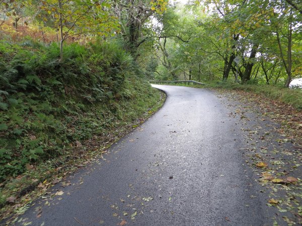 Argyll