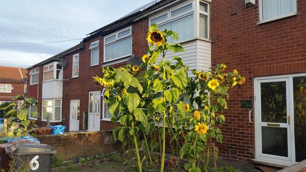 Oldham