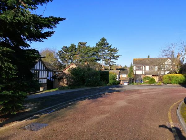 Orpington
