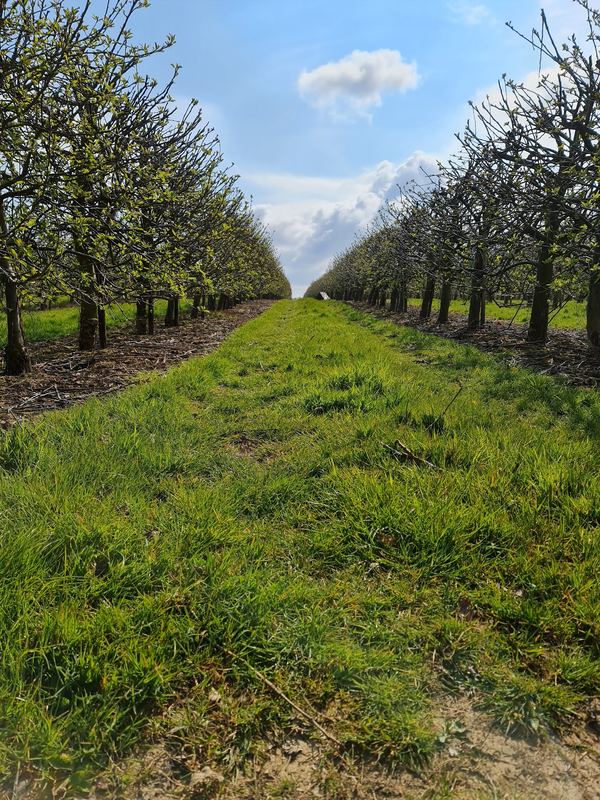 Peasmarsh