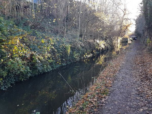 Pendeford