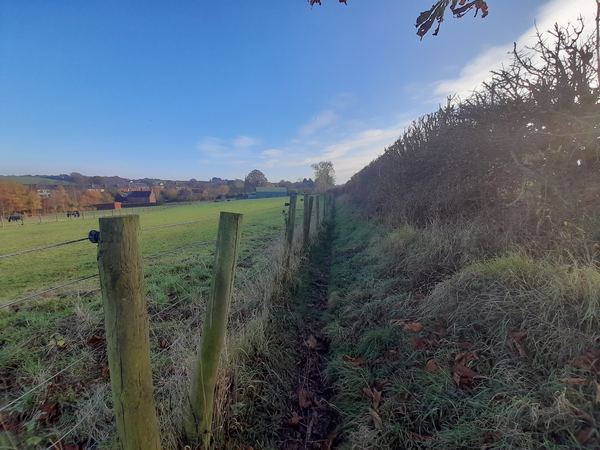Pinxton