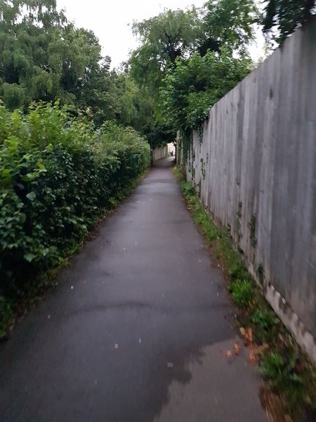 PURTON