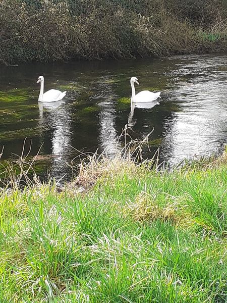 Rathangan