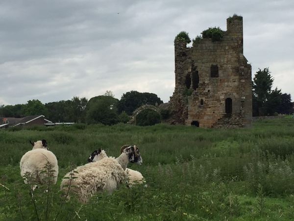 Ravensworth