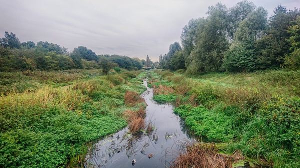 Redbridge