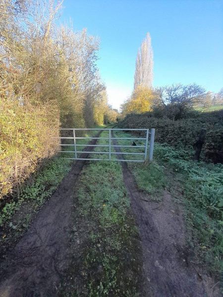 Rettendon