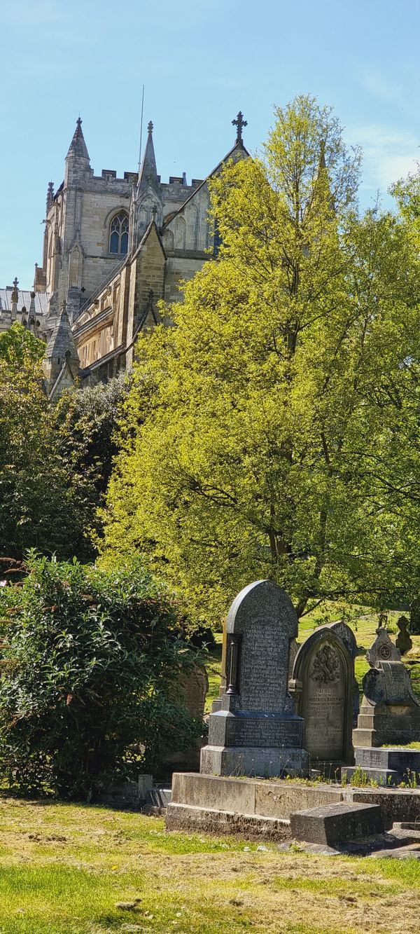Ripon