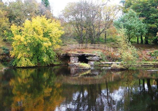 Rivington
