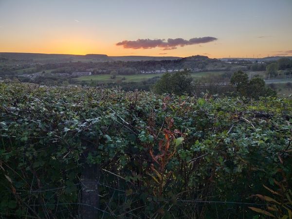 Rossendale