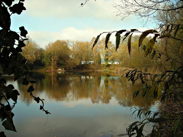 Rotherwas