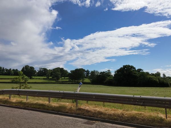 Rowington
