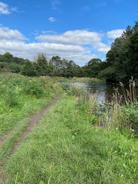Rowlands Gill