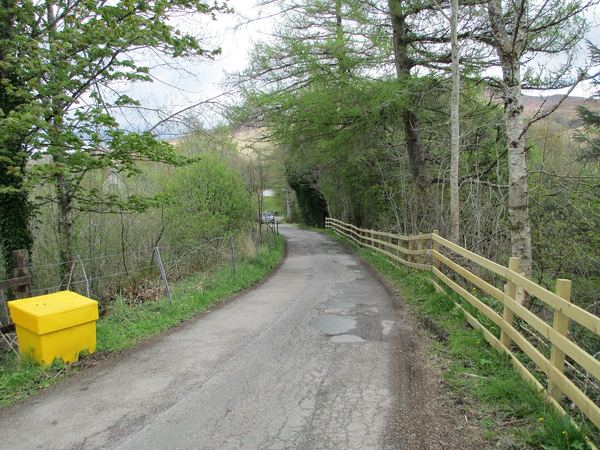 Roy Bridge