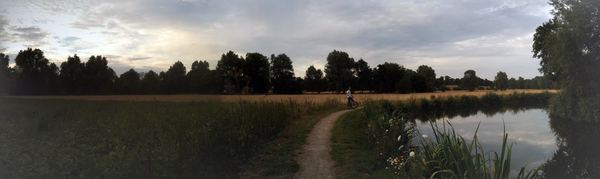 Roydon