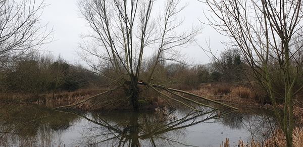 Rudheath