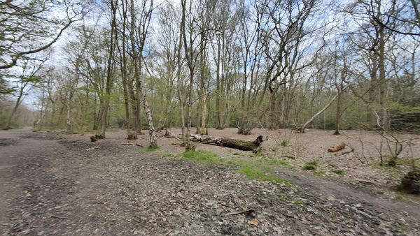 Ruislip Common