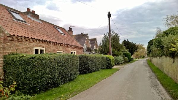 Saltmarshe