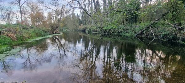 Santon Downham