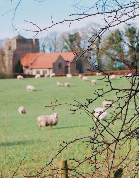 Scorton