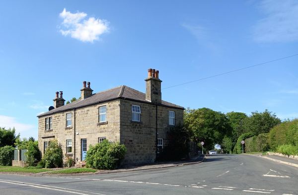 Scotton