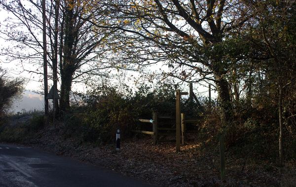 Seale