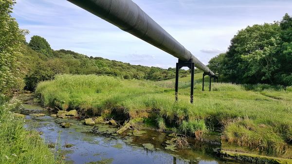 Seaton Burn