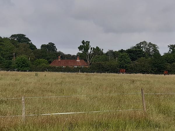 Seer Green