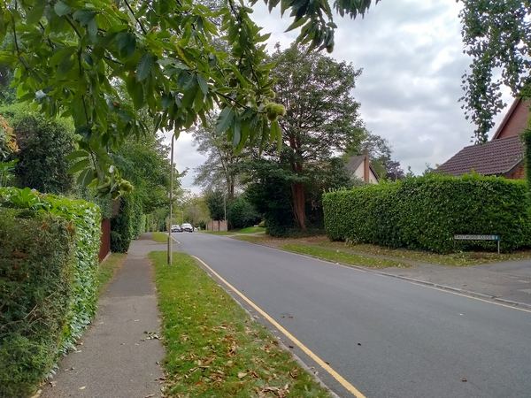 Shenfield