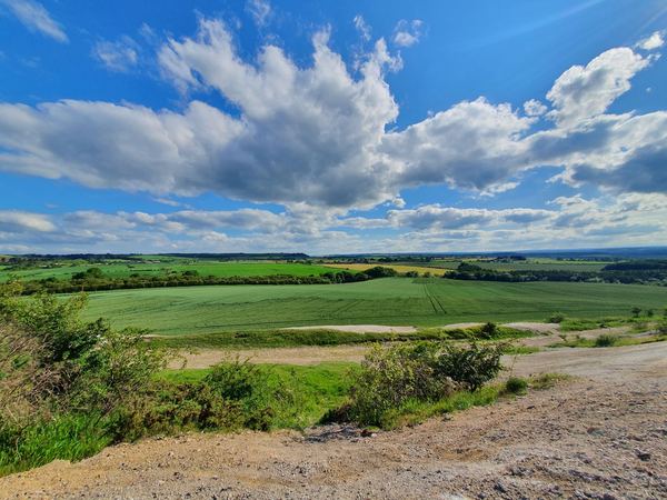 SHERBURN HILL
