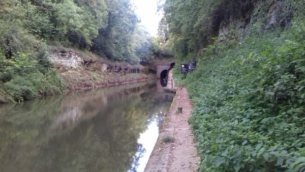 Shrewley