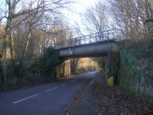 Silkstone Common