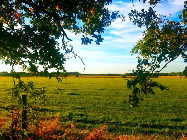Skellingthorpe