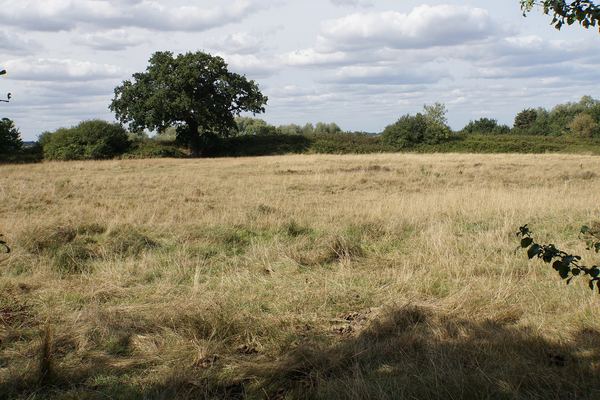 South Hanningfield