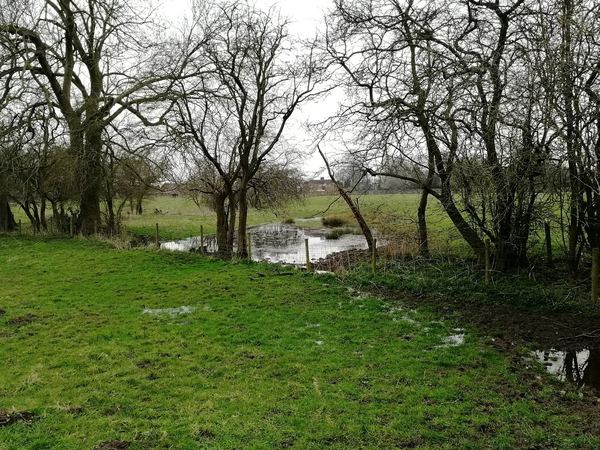 Sowerby