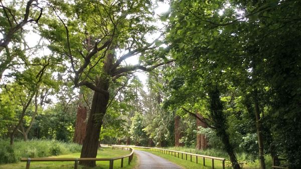 Spencers Wood