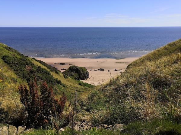 St Cyrus