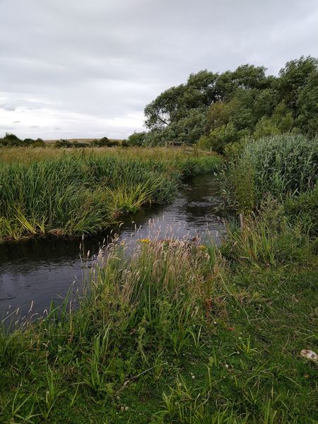 Stanwell Moor