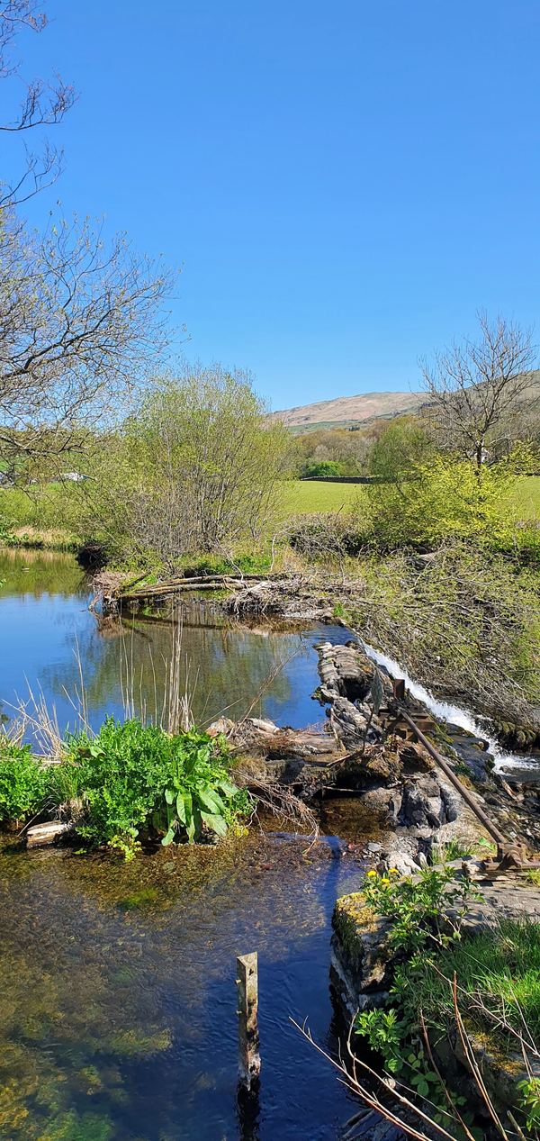 Staveley